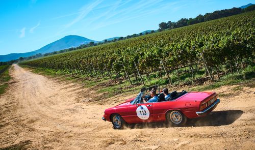 Regolarità Baia delle Ninfe